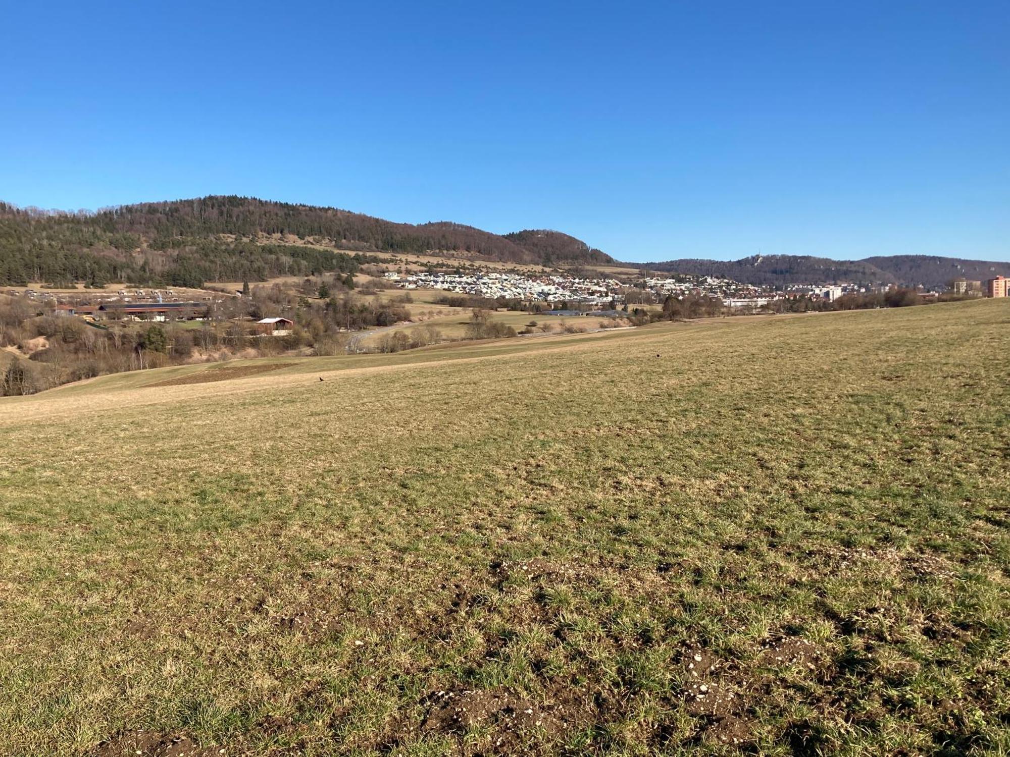 알브쉬타트 Atemberaubender Ausblick Mit Premium-Wanderwegen Vor Der Haustuer 아파트 외부 사진